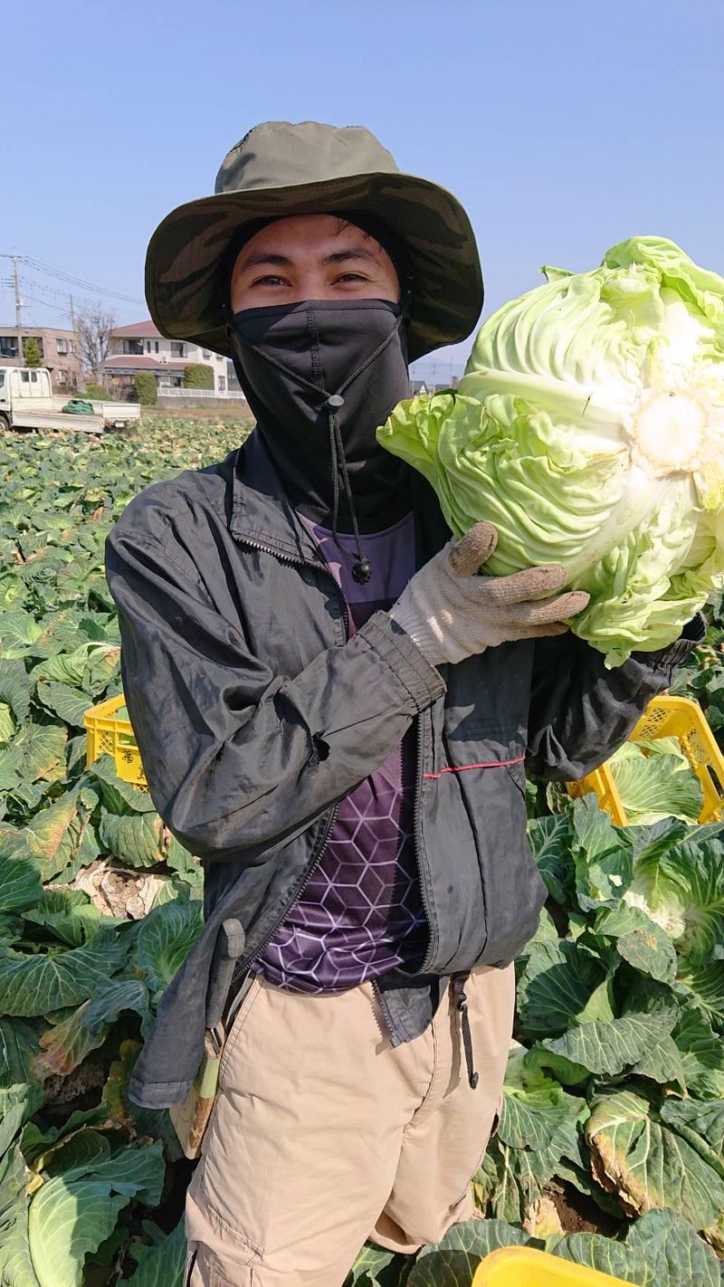 株式会社福島農園の求人・転職情報