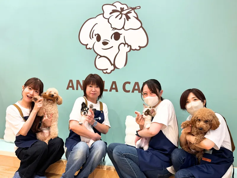 Ａネクストワークス株式会社-0003の求人・転職情報