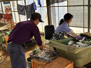 社会福祉法人心友会 しいのみ園の求人・転職情報-03