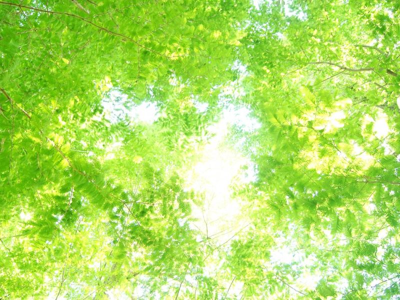 株式会社花園グリーンサービス