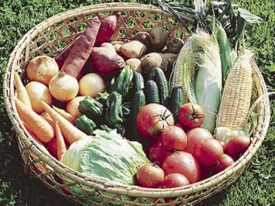 株式会社ドリームグループのアルバイト・バイト求人情報-04