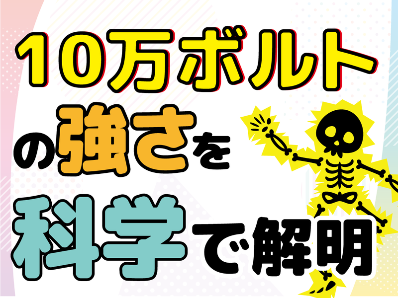 株式会社ワオ・コーポレーションの求人・転職情報