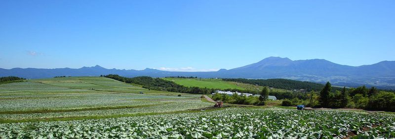 福岡営業所の求人・転職情報-05