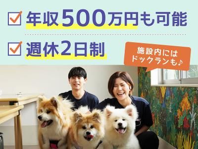 株式会社ケアリーの求人・転職情報