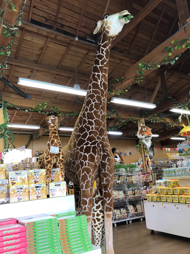 那須サファリパークのアルバイト・バイト求人情報-01