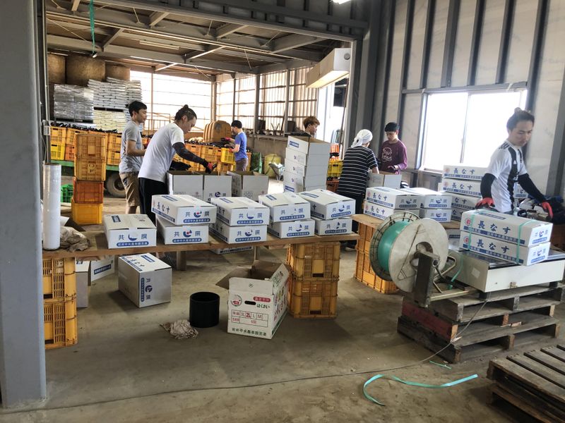 清水農園の求人・転職情報