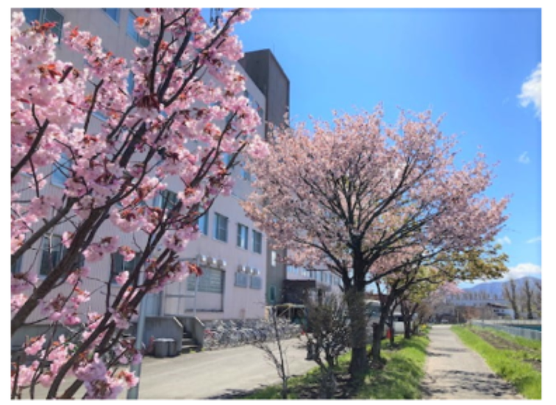 北海道女子学生会館のアルバイト・バイト求人情報-05
