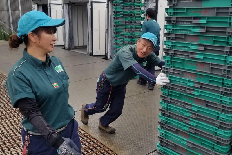 株式会社セイセイトラフィックの求人・転職情報