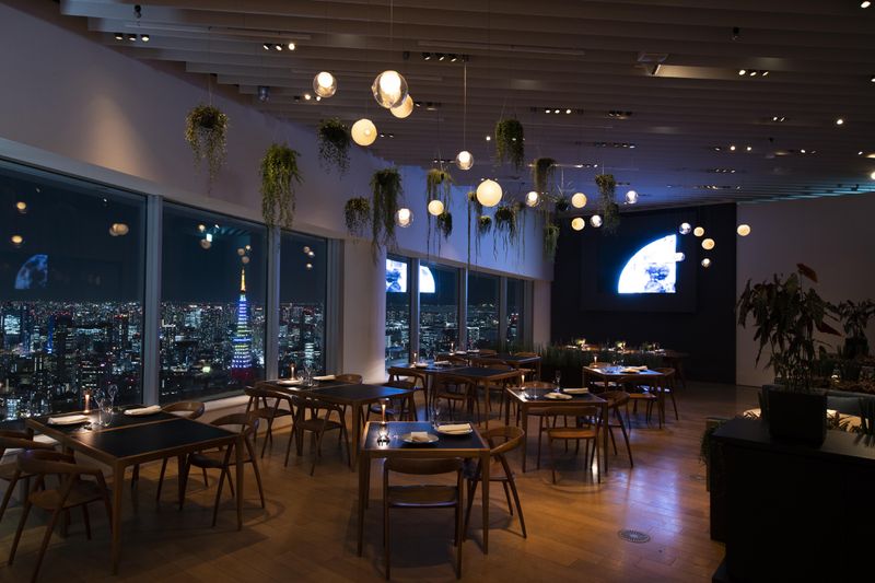 ソルト・コンソーシアム株式会社の求人・転職情報