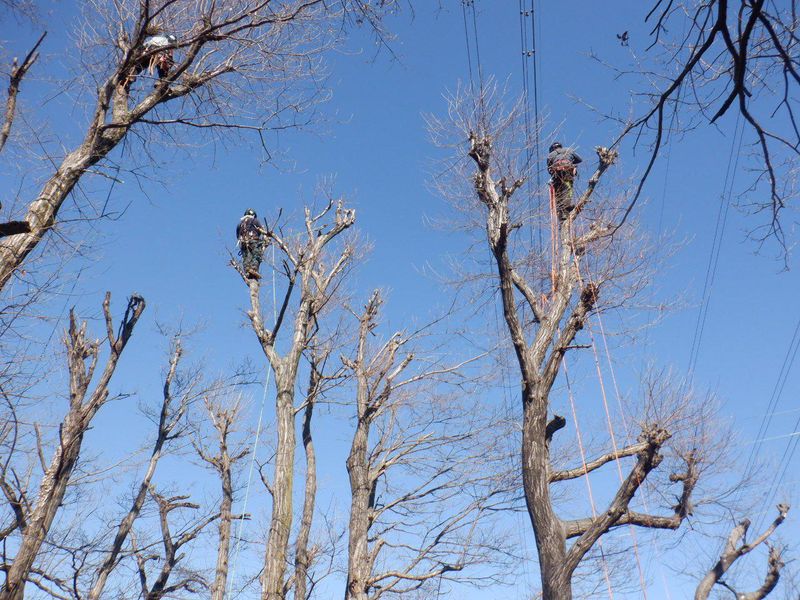 東信測量株式会社の求人・転職情報