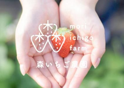 株式会社森いちご農園のアルバイト・バイト求人情報-03