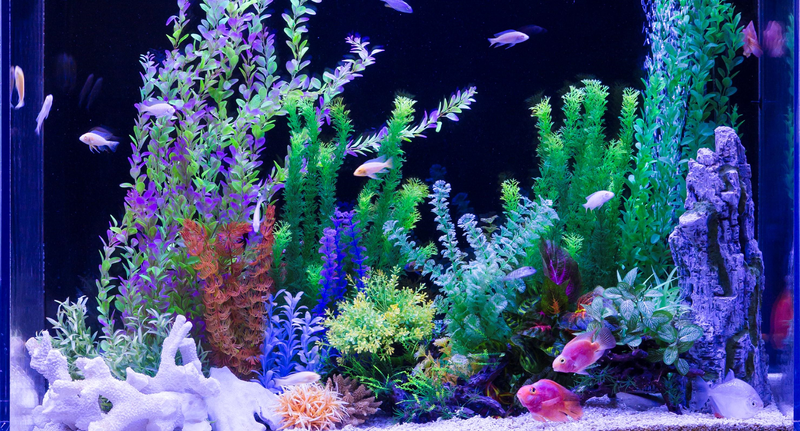 社会福祉法人　東京リハビリ協会の求人・転職情報