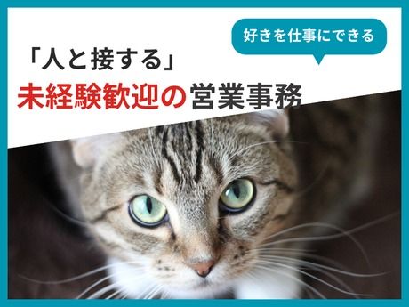 株式会社トムキャットの求人・転職情報