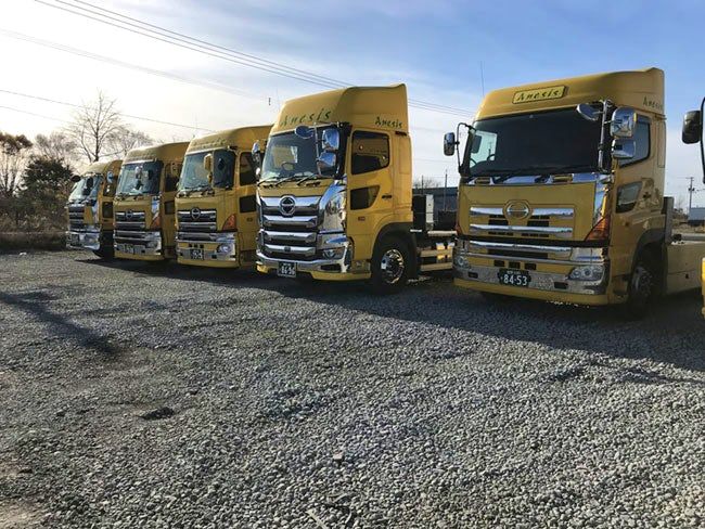 株式会社アネシスの求人・転職情報