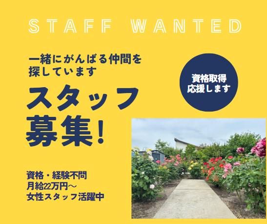 株式会社ディアー・グリーンの求人・転職情報