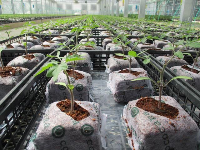 ベルグ福島株式会社-0003の求人・転職情報