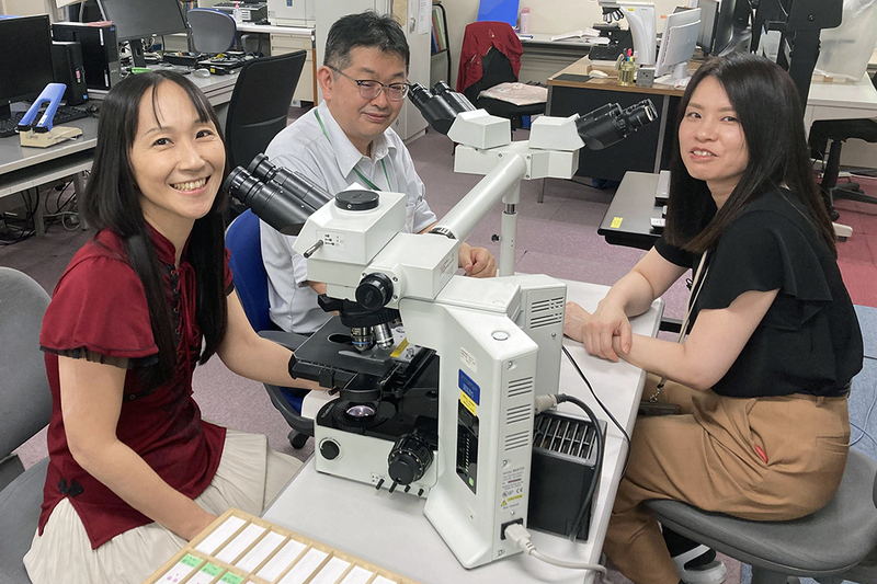株式会社新日本科学の求人・転職情報