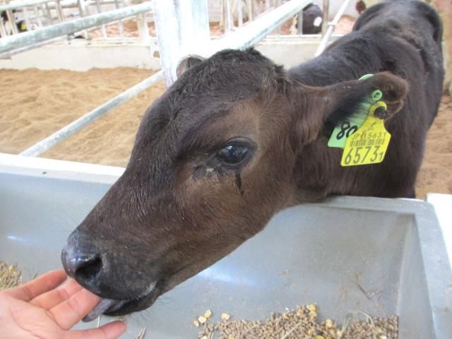 有限会社村田牧場の求人・転職情報