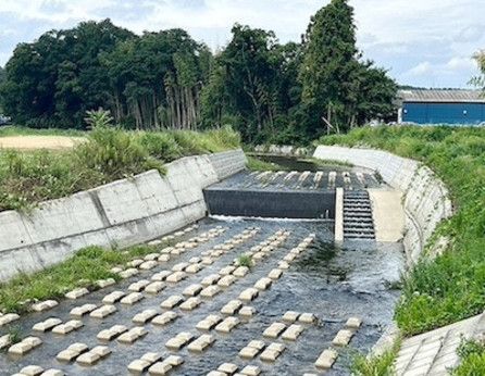 株式会社コントラフト(人材紹介)の求人・転職情報