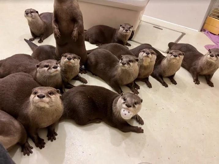 若林の家のアルバイト・バイト求人情報-07