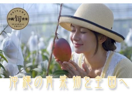 株式会社琉堂のアルバイト・バイト求人情報-04