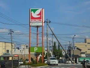 株式会社ヨークベニマルの求人2