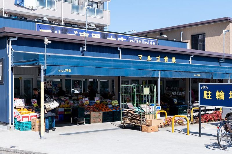 マルゴ青果株式会社　高島平店の求人情報