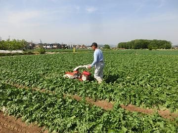 株式会社扶桑農産の求人・転職情報