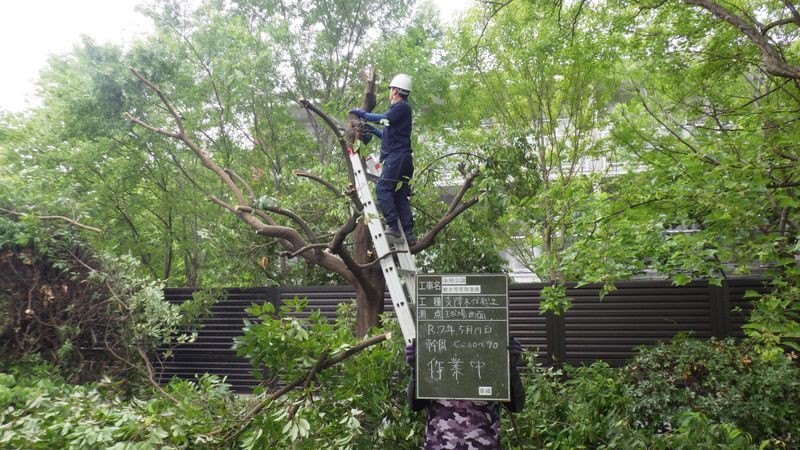 岡本造園のアルバイト・バイト求人情報-02