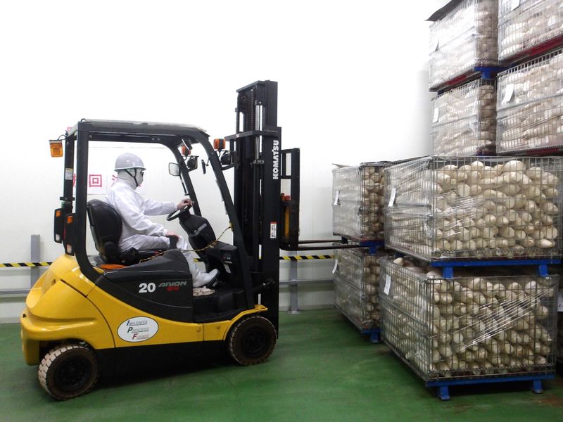 岩下プロセスフーズ株式会社の求人・転職情報