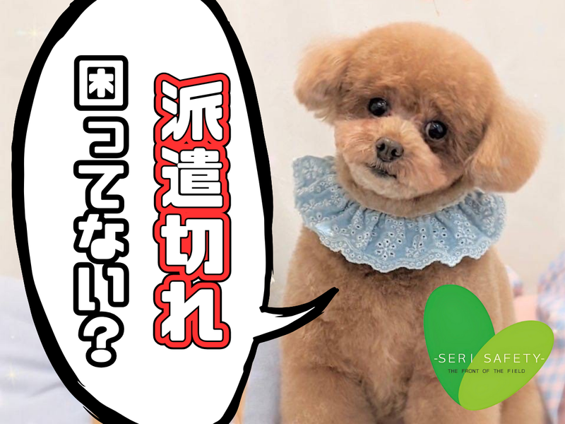 株式会社セリセーフティー　三河オフィスのアルバイト・バイト求人情報-03