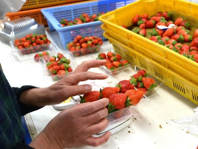 株式会社kiyoshi berryのアルバイト・バイト求人情報-04