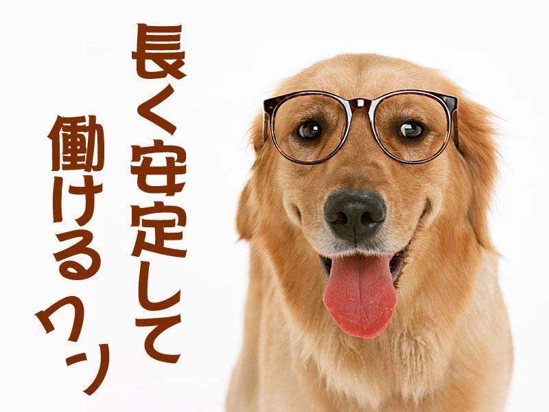 株式会社 メッセの求人・転職情報