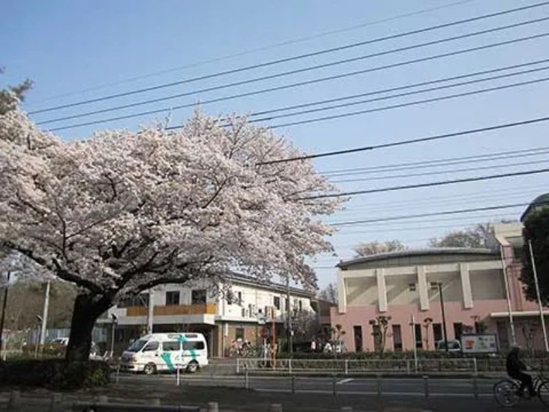 社会福祉法人 相模原市社会福祉事業団の求人・転職情報
