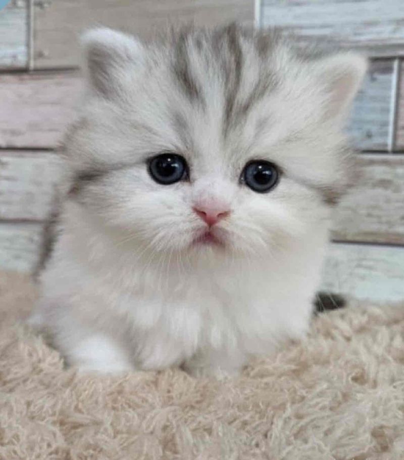 株式会社LoveWalkの求人・転職情報