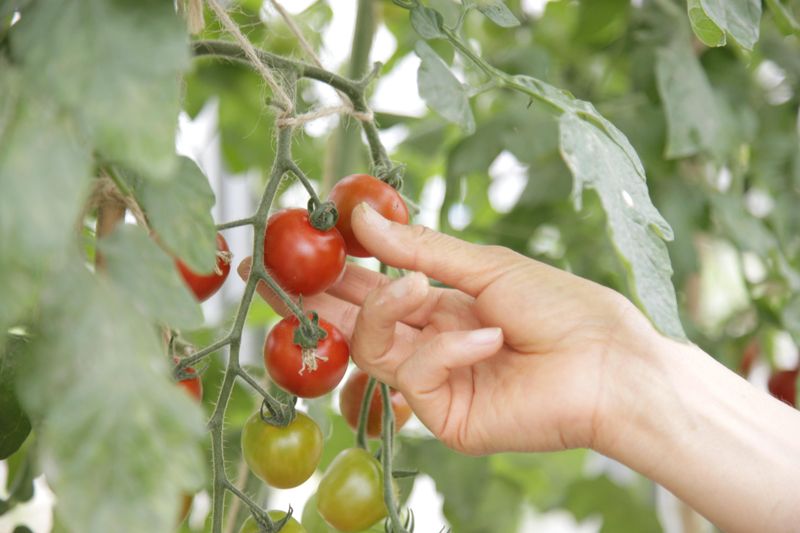 株式会社東京天竜の求人・転職情報