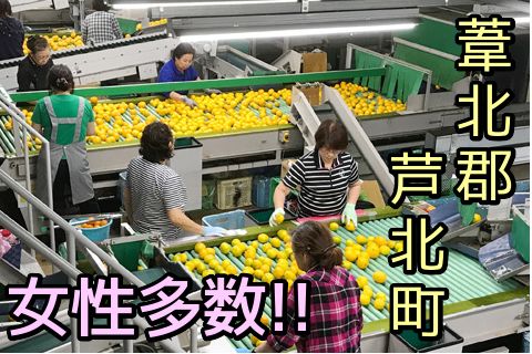 熊本県農業協同組合中央会の派遣求人情報