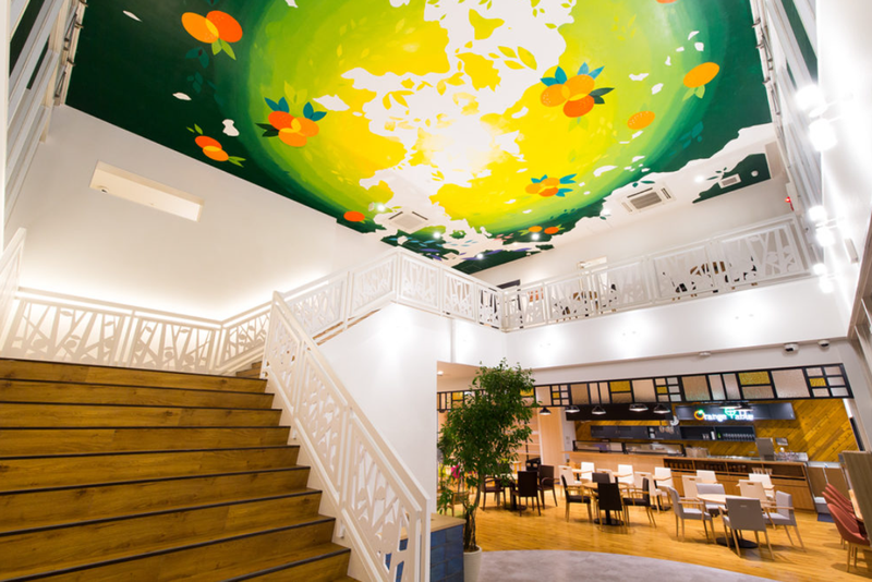 青写真株式会社の求人・転職情報