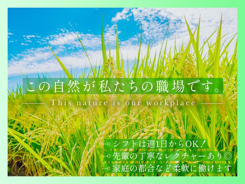 株式会社One Seed Farmのアルバイト・バイト求人情報-02