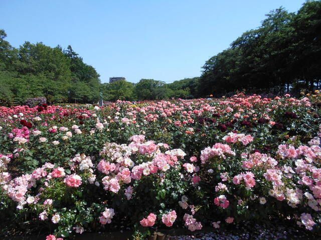 株式会社ふれあい広場　ふれあい多居夢　大宮のアルバイト・バイト求人情報-03