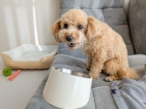 株式会社プラスアドグループ　北九州本社の派遣求人情報