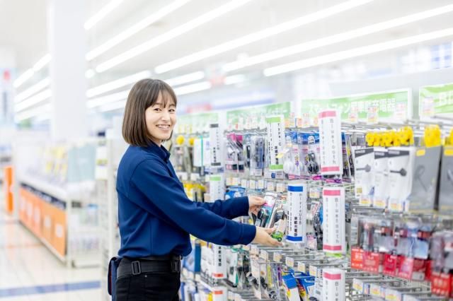 ケーズデンキ　川崎野川店