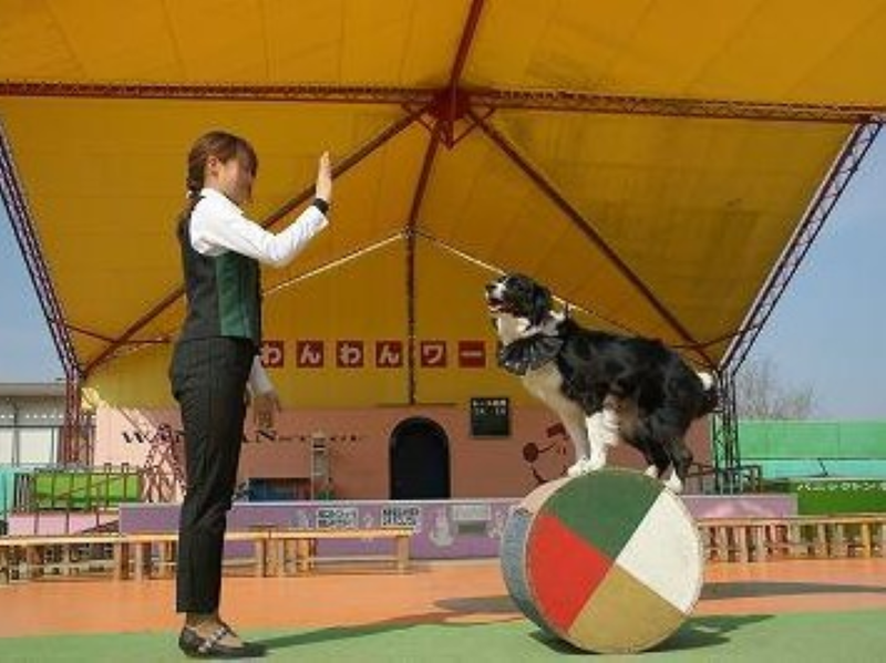 株式会社つくばわんわんランドのアルバイト・バイト求人情報-05