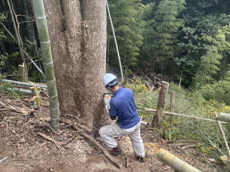 株式会社グリーンスタイルの求人・転職情報