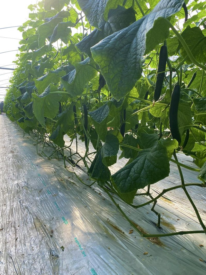 株式会社DHARMAのアルバイト・バイト求人情報-02