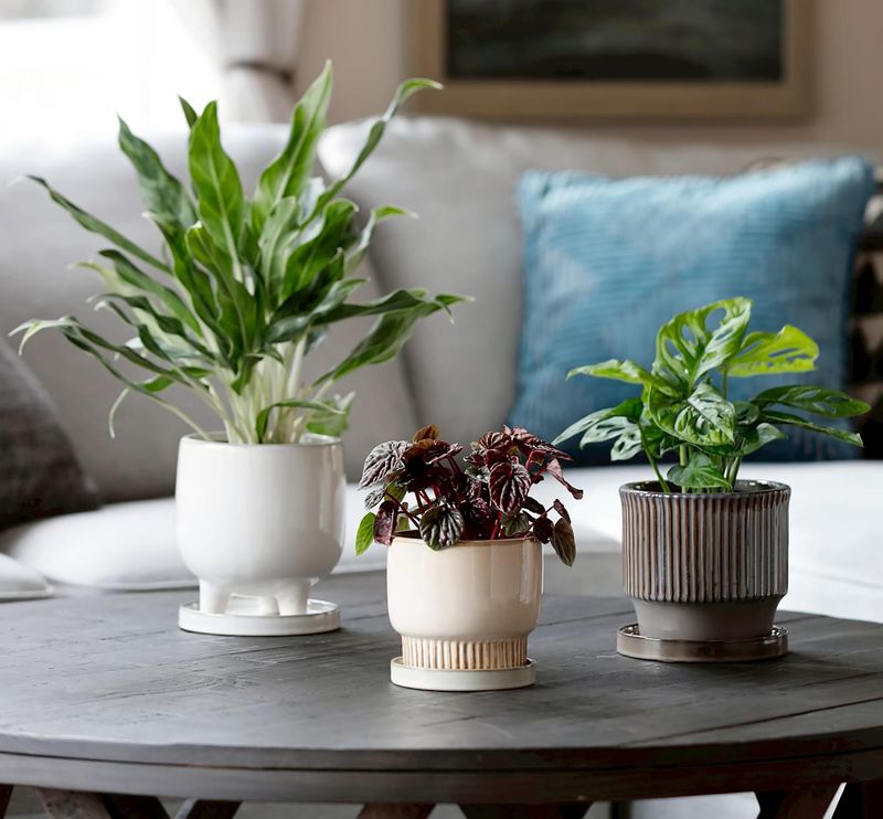 株式会社デルキの求人・転職情報