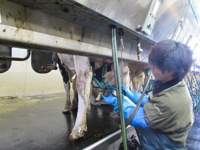 株式会社トップファームのアルバイト・バイト求人情報-03