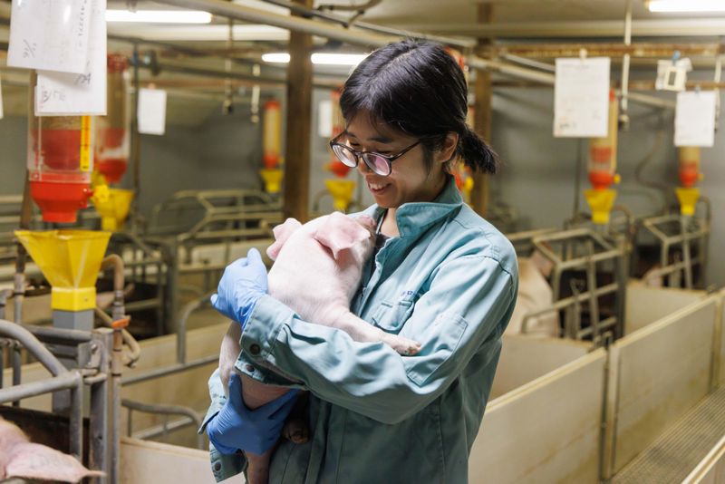 株式会社ロッセ農場