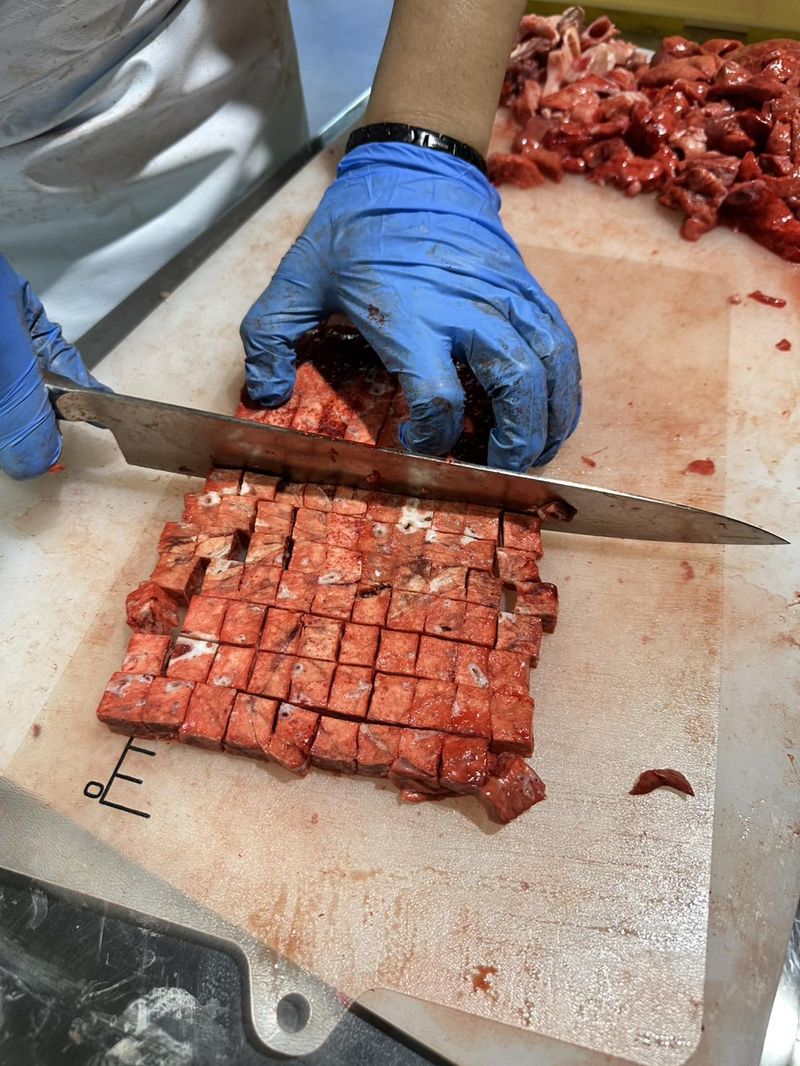 株式会社880/熊本事業所のアルバイト・バイト求人情報-04