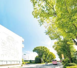 学校法人桐丘学園の求人・転職情報